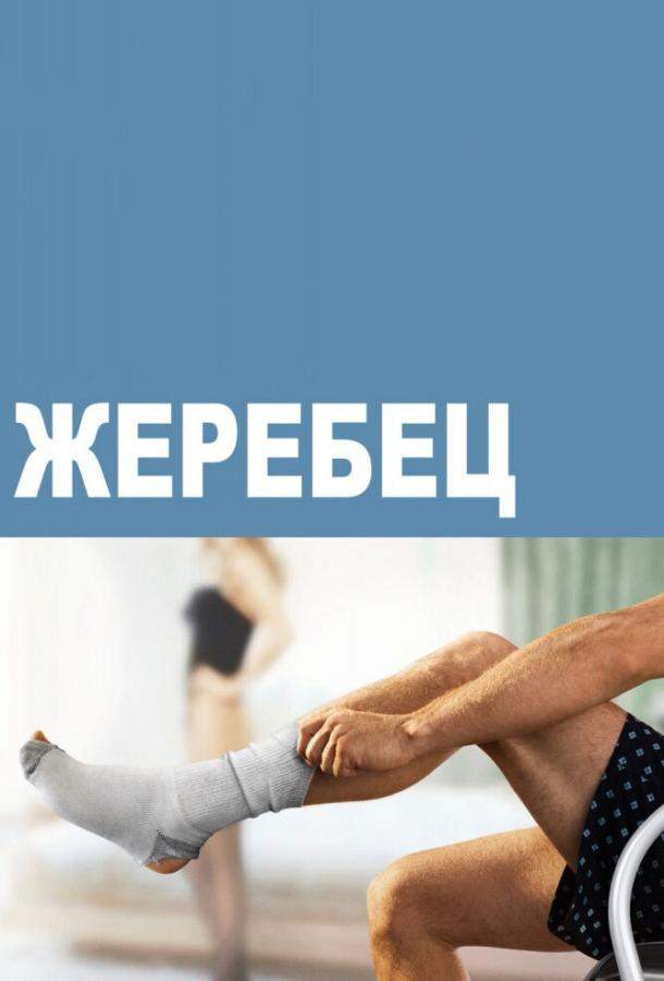 Жеребец 1,2,3 сезон