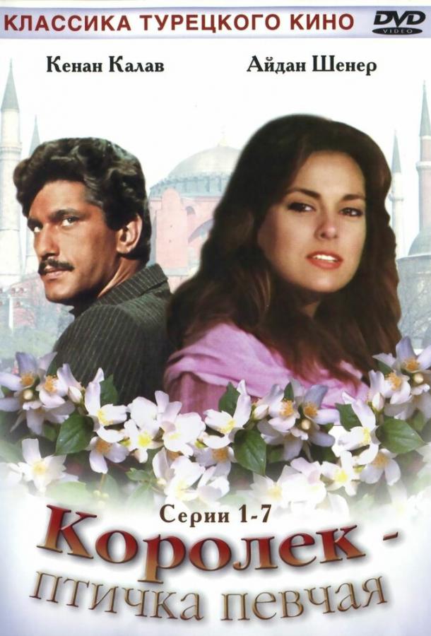 Королёк — птичка певчая 1 сезон